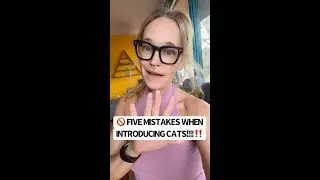 🚫 5 Mistakes When Introducing Cats!