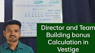 Director and Team Building Bonus Calculations in Vestige.🌹🌹🌹