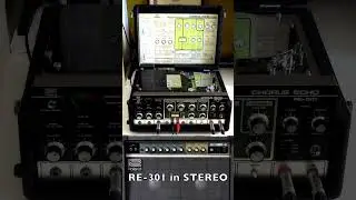 Roland RE-301 Space Echo in Stereo with JC40 2 of 2