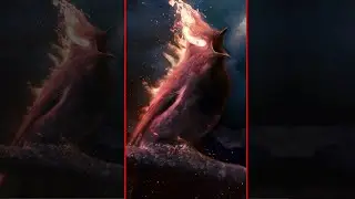 From A Bird To A Phoenix Transition (Photoshop) #shorts