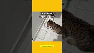 DESAYUNO CARNE MUUU.  PORQUE TAQUI ESTA TAN MACIZO?