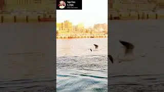 Dubai city tour |Places to visit| आइए घूमे पूरा दुबई,Places to visit in Dubai party -3