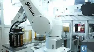 SHELLBACK TORRENT SP, Automated Spray Batch Tool for wafers up to 300mm
