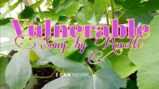 Vulnerable - Song by Roxette / Video Music Lyrics / Karaoke Lyrics / Roxette Music Lyrics