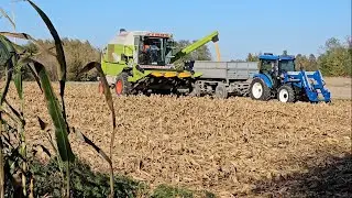 🌽na ziarno 2024 z Nowym Nabytkiem ☆New Holland T4.75s☆ Claas Dominator 68s Ursus c360