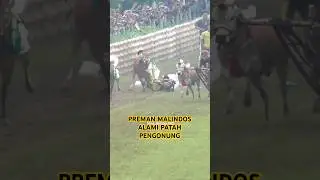 Detik-detik preman malindos gagal di final #madura #kerapan #kerapansapi2025