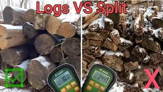 Best Way to Season Firewood Long Term