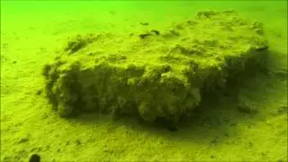 Freediving Limestone Quarry Gotland Sweden