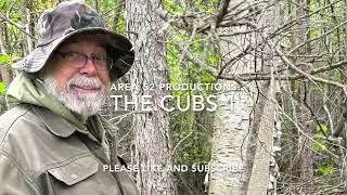 The Cubs 1