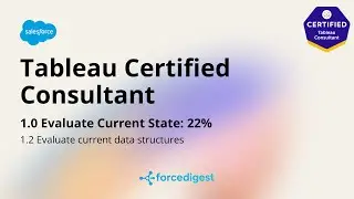 Tableau Certified Consultant - Certification Exam Full Course Vol. 1.2