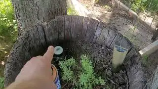 T.M.T garden expansion 1st year. #emergencyfood #prepper #food #shtf #preppingforshtf