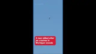 Plane crash in Michigan woods kills 3