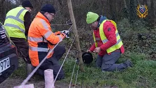 ASP-Zaunbau im Rheingau-Taunus-Kreis: Dr. med. vet. Thomas Reinle &uuml;ber Bau und Wirkung von E-Z&auml;unen