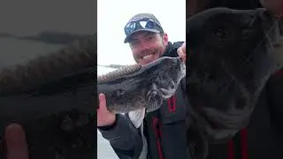 Tautog Fishing Rhode Island