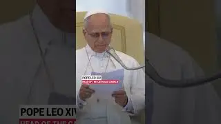 Pope Leo wishes the faithful a new year 'filled with peace and joy' in final audience of 2025.