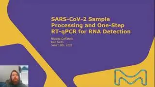 Approaches to SARS-CoV-2 Sample Processing for RNA Detection