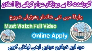 wapda job 2022 /PTS Wapda  online apply /Latest jobs  vacancies 2022