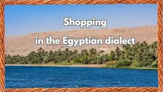 Egyptian Arabic for Shopping! | 3 Phrases You Need to Haggle in Egypt #Shorts