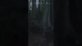WOW 😮 #gaming #huntshowdown #playstation #console #crytek #twitch #streamer #gamer