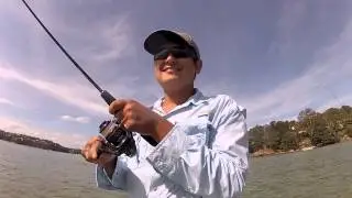 Port Hacking Trevally
