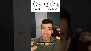 The first 4 steps of glycolysis (energy investment phase) in under 4 minutes