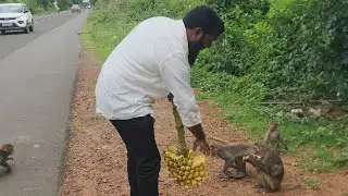 Feeding monkeys #love 🐒 #animals #helping #others #help  #hope #care