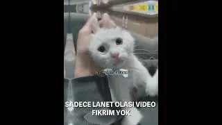Yt kaliteyi yedi#hakhukukadalet #typeme#itzy #midzyyy #again#kpop#blackpink #rose #lisa#jennie#jisso