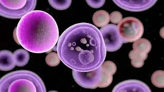 Holistic Cancer Therapies in Mexico: What Patients Need to Know