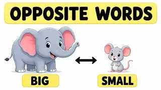 Opposite Words for Kids | Learn Opposites with Fun Animation