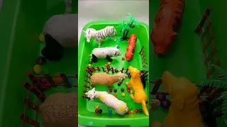 Mini Diorama Animal Toys and Candy Asmr #asmr #shorts #candy