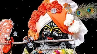 शुक्ला की दुनिया  लाइव है!radhye radhye radhye radhye