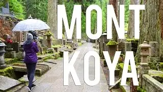 Séjour dans un temple du Mont Koya | VLOG JAPON