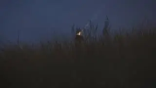 lighthouse lights over the grass