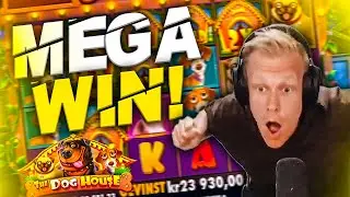 MEGA BIG WIN on The Dog House!