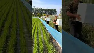 Creative Farming Ideas Amazing #farming #agriculture #ideas