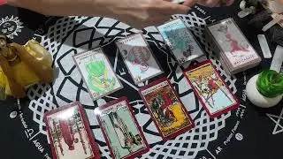 ESSAS COBRAS 🐍 TÓXICAS COM VÁRIOS CONTATINHOS, TRAMANDO NAS MINHAS COSTAS, O QUE PRETENDEM FAZEREM?