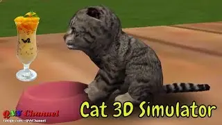 Bad Kitty Cat 3D Simulator - NEW Funny & Cute Simulation Fun Little Kitten Pet Care Games For Baby