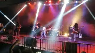 Heavy Metal Steel - SteelBack