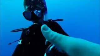 Scuba Roatan Infinity Bay