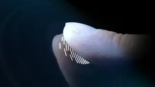 ID #1365 - Fingerprint Unlock V1 Logo Animation Intro Reveal - Design Bank Logo Animation