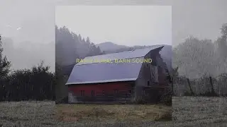 ASMR  ☂️ Rainy Rural Barn