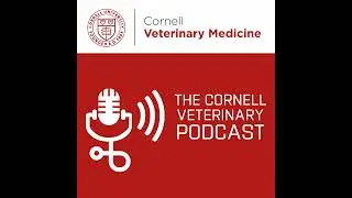 Veterinary Adventures: A Journey with Dr. Paul Maza