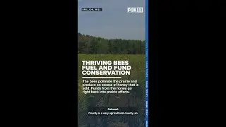 AriensCo promotes pollinator conservation with honeybee habitat