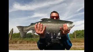 Spinning la pastrav. Record personal. Trout fishing