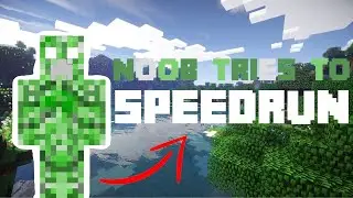 the LUCKIEST Minecraft speedrun!