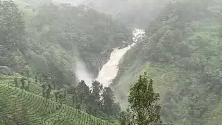 Mesmerizing breathtaking beauty of Nature #video #viralvideo #shortvideo #munnar #kerala #hilltop
