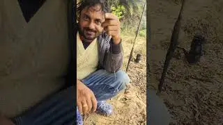 The Most Unique Fishing Experience in the World