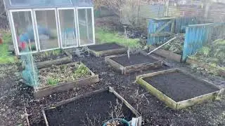 Preparing Allotment for Spring 2025