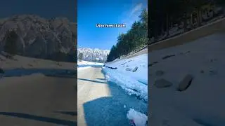 Usho forest latest update must beautiful point #snow #mountains #viralshorts #foryourpage
