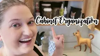 Cabinet Organization | Doyle Dog